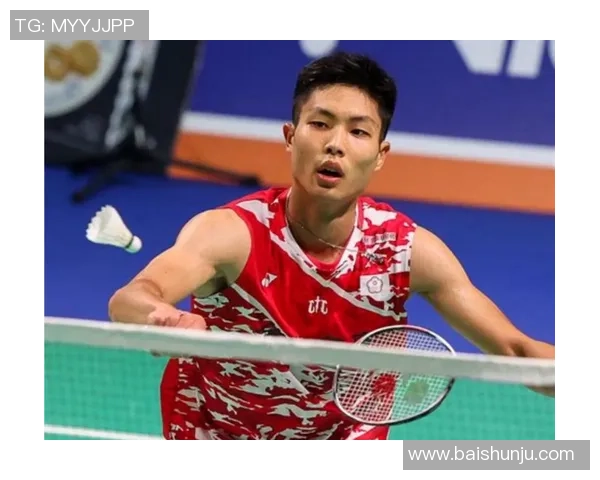 羽毛球巨献：深入分析杭州羽毛球队运动员的个人技术与战术能力