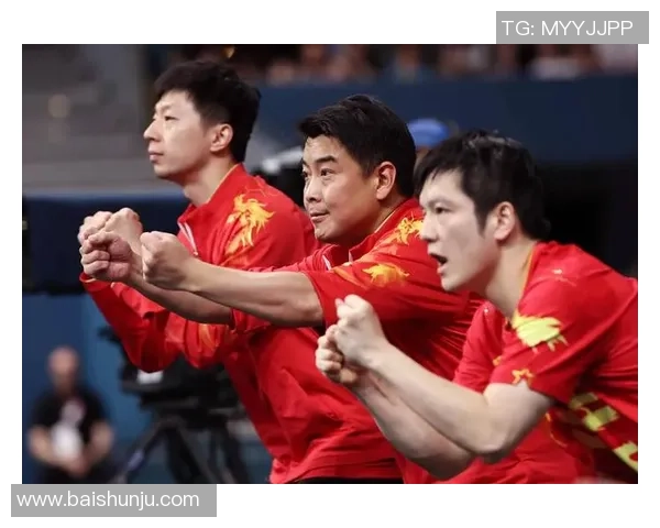 欧锦赛点评：北京乒乓球队的个人能力表现