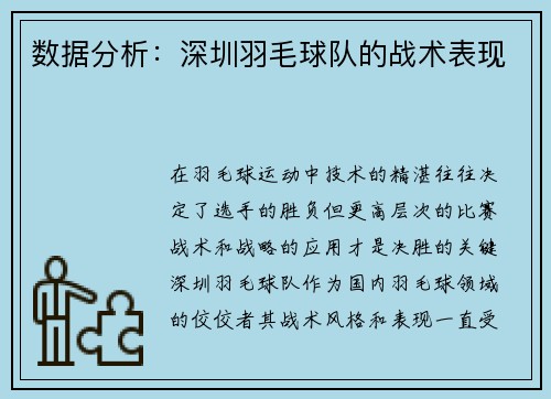 数据分析：深圳羽毛球队的战术表现