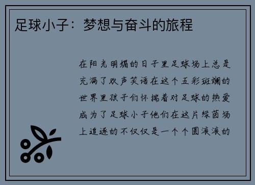 足球小子：梦想与奋斗的旅程