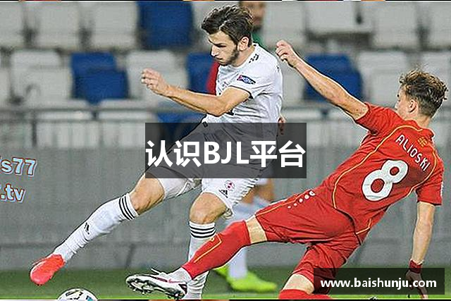 认识BJL平台